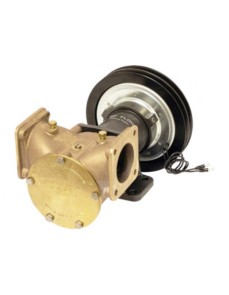 Pompe a Frizione Elettromagnetica