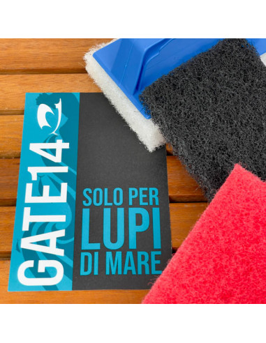 Spazzola con 3 Spugne Abrasive...
