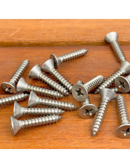 Viti autofilettanti Inox A4 testa piana impronta a croce 20 Pz Ø 5,5 mm