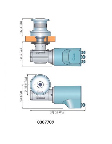 Salpa Ancora Verricello Tumbler