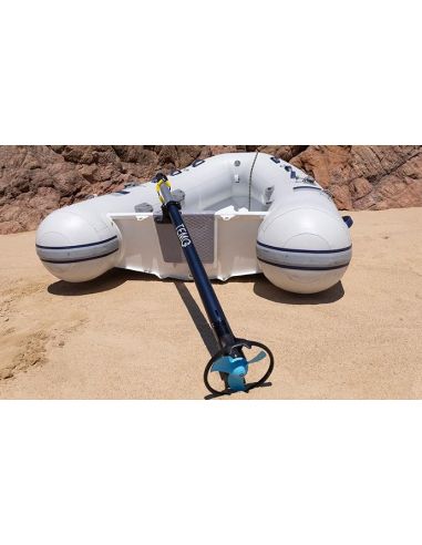 Temo 450 Fuoribordo Elettrico per Tender