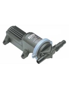Pompa WHALE Gulper 220 per scarico doccia e acque nere