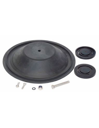 Kit Riparazione Pompa a Mano Jabsco 29250