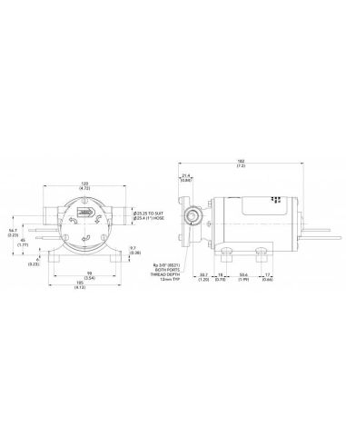 Pompa Water Puppy 2000