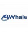 Whale