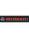 BORSANI ANGELO