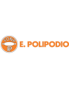 Polipodio