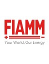 Fiamm spa